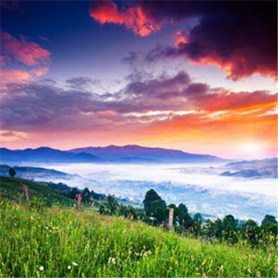 “香了岁月，香了家乡”——西藏林芝牢记嘱托走生态优先、绿色发展之路的实践探索